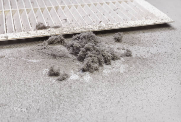 Best Air Duct Cleaning Near Me in Abita Springs, LA